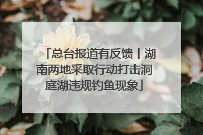 总台报道有反馈丨湖南两地采取行动打击洞庭湖违规钓鱼现象