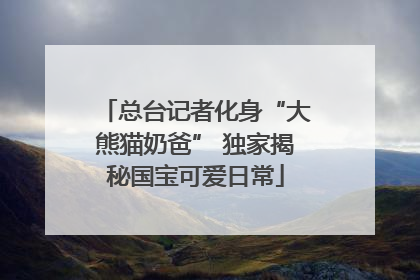 总台记者化身“大熊猫奶爸” 独家揭秘国宝可爱日常