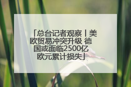 总台记者观察丨美欧贸易冲突升级 德国或面临2500亿欧元累计损失