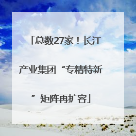 总数27家！长江产业集团“专精特新”矩阵再扩容