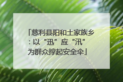 慈利县阳和土家族乡：以“迅”应“汛” 为群众撑起安全伞