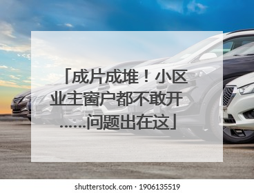 成片成堆！小区业主窗户都不敢开……问题出在这