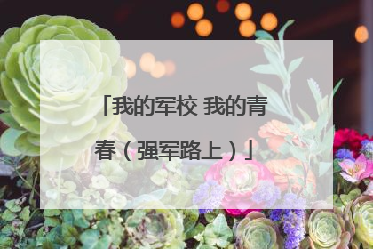 我的军校 我的青春（强军路上）