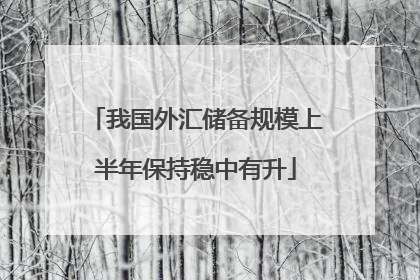 我国外汇储备规模上半年保持稳中有升