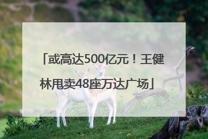 或高达500亿元！王健林甩卖48座万达广场