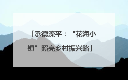 承德滦平：“花海小镇”照亮乡村振兴路