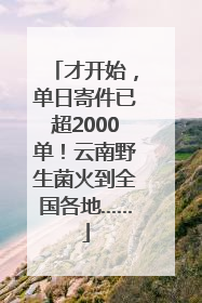 才开始，单日寄件已超2000单！云南野生菌火到全国各地……