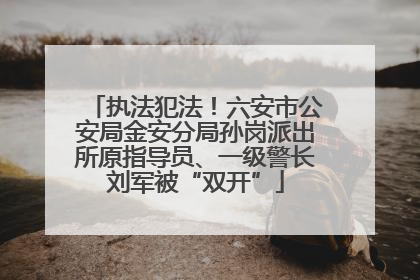 执法犯法！六安市公安局金安分局孙岗派出所原指导员、一级警长刘军被“双开”