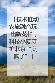 技术推动农旅融合玩出新花样，科技小院守护北京“菜篮子”