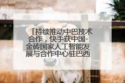 持续推动中巴技术合作，快手获中国-金砖国家人工智能发展与合作中心驻巴西成果转化中心授牌