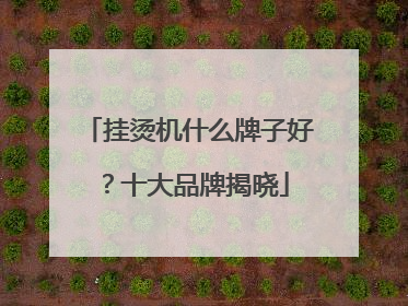 挂烫机什么牌子好？十大品牌揭晓