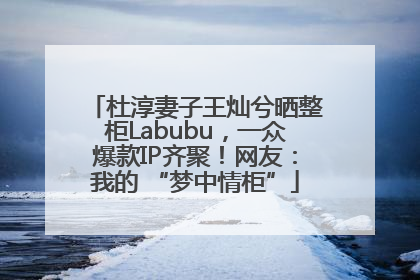 杜淳妻子王灿兮晒整柜Labubu，一众爆款IP齐聚！网友：我的 “梦中情柜”
