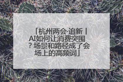 杭州两会·追新丨AI如何让消费突围？场景和路径成了会场上的高频词