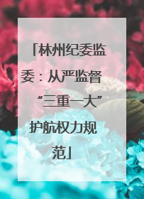 林州纪委监委：从严监督“三重一大” 护航权力规范