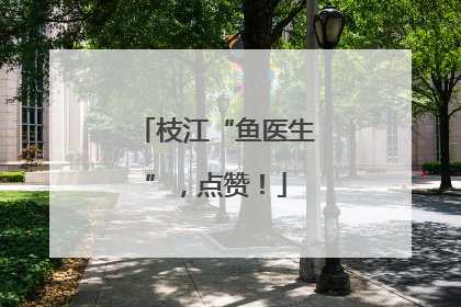 枝江“鱼医生”，点赞！