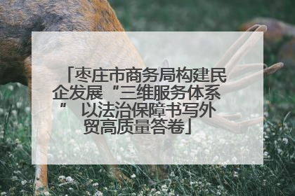 枣庄市商务局构建民企发展“三维服务体系” 以法治保障书写外贸高质量答卷