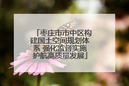 枣庄市市中区构建国土空间规划体系 强化监督实施护航高质量发展