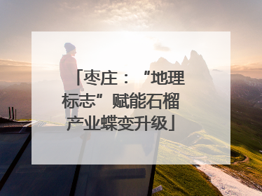 枣庄：“地理标志”赋能石榴产业蝶变升级
