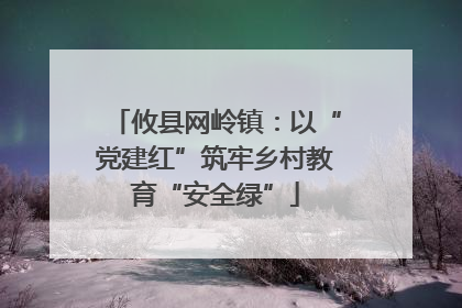 攸县网岭镇：以“党建红”筑牢乡村教育“安全绿”