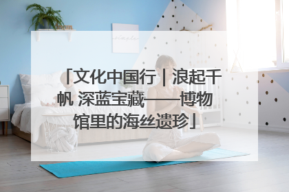 文化中国行｜浪起千帆 深蓝宝藏——博物馆里的海丝遗珍