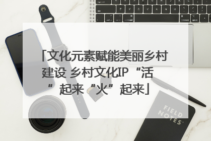 文化元素赋能美丽乡村建设 乡村文化IP“活”起来“火”起来