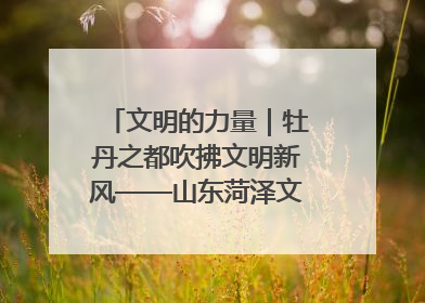 文明的力量｜牡丹之都吹拂文明新风——山东菏泽文明创建一线见闻