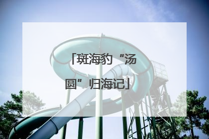 斑海豹“汤圆”归海记