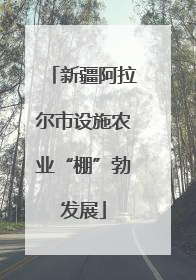 新疆阿拉尔市设施农业“棚”勃发展