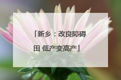 新乡：改良障碍田 低产变高产