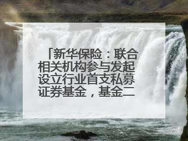 新华保险：联合相关机构参与发起设立行业首支私募证券基金，基金二期200亿元已募集完毕