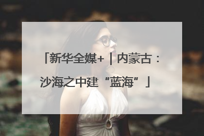 新华全媒+｜内蒙古：沙海之中建“蓝海”
