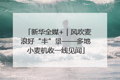 新华全媒+｜风吹麦浪好“丰”景——多地小麦机收一线见闻
