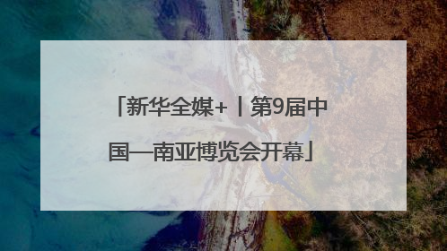 新华全媒+丨第9届中国—南亚博览会开幕