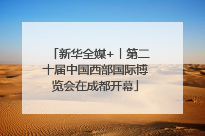 新华全媒+丨第二十届中国西部国际博览会在成都开幕