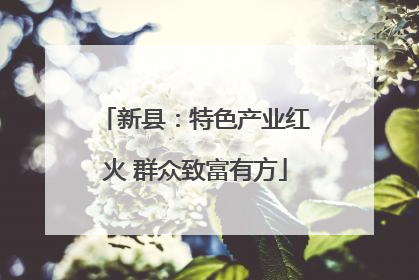 新县：特色产业红火 群众致富有方