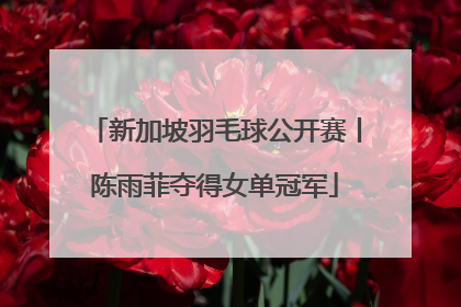 新加坡羽毛球公开赛丨陈雨菲夺得女单冠军