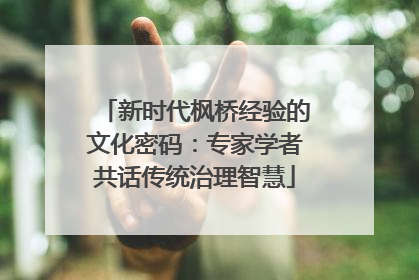 新时代枫桥经验的文化密码：专家学者共话传统治理智慧