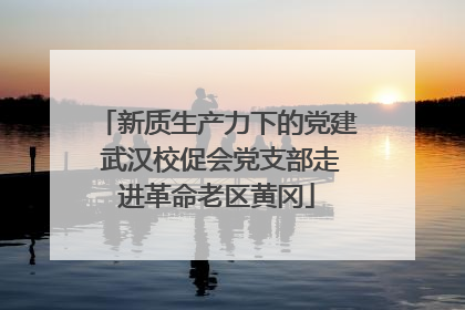 新质生产力下的党建 武汉校促会党支部走进革命老区黄冈