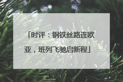 时评：钢铁丝路连欧亚，班列飞驰启新程