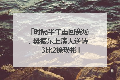 时隔半年重回赛场，樊振东上演大逆转，3比2徐瑛彬