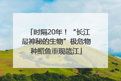 时隔20年！“长江最神秘的生物”极危物种鳤鱼重现赣江
