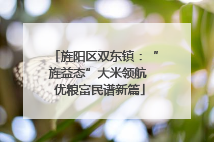 旌阳区双东镇：“旌益态”大米领航 优粮富民谱新篇