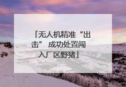 无人机精准“出击” 成功处置闯入厂区野猪