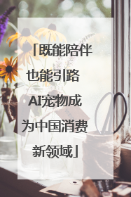 既能陪伴也能引路 AI宠物成为中国消费新领域