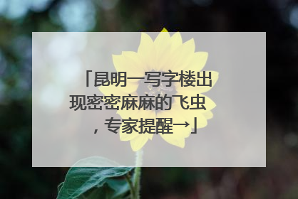昆明一写字楼出现密密麻麻的飞虫，专家提醒→