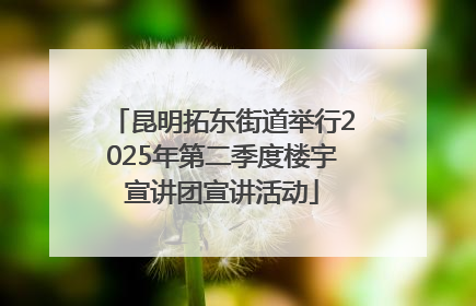 昆明拓东街道举行2025年第二季度楼宇宣讲团宣讲活动