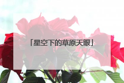 星空下的草原天眼