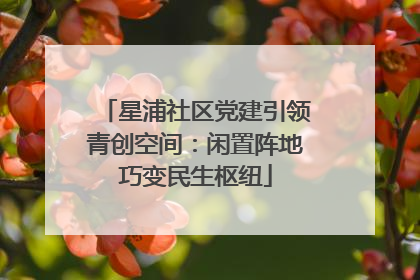 星浦社区党建引领青创空间：闲置阵地巧变民生枢纽