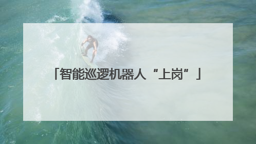 智能巡逻机器人“上岗”