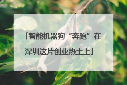智能机器狗“奔跑”在深圳这片创业热土上